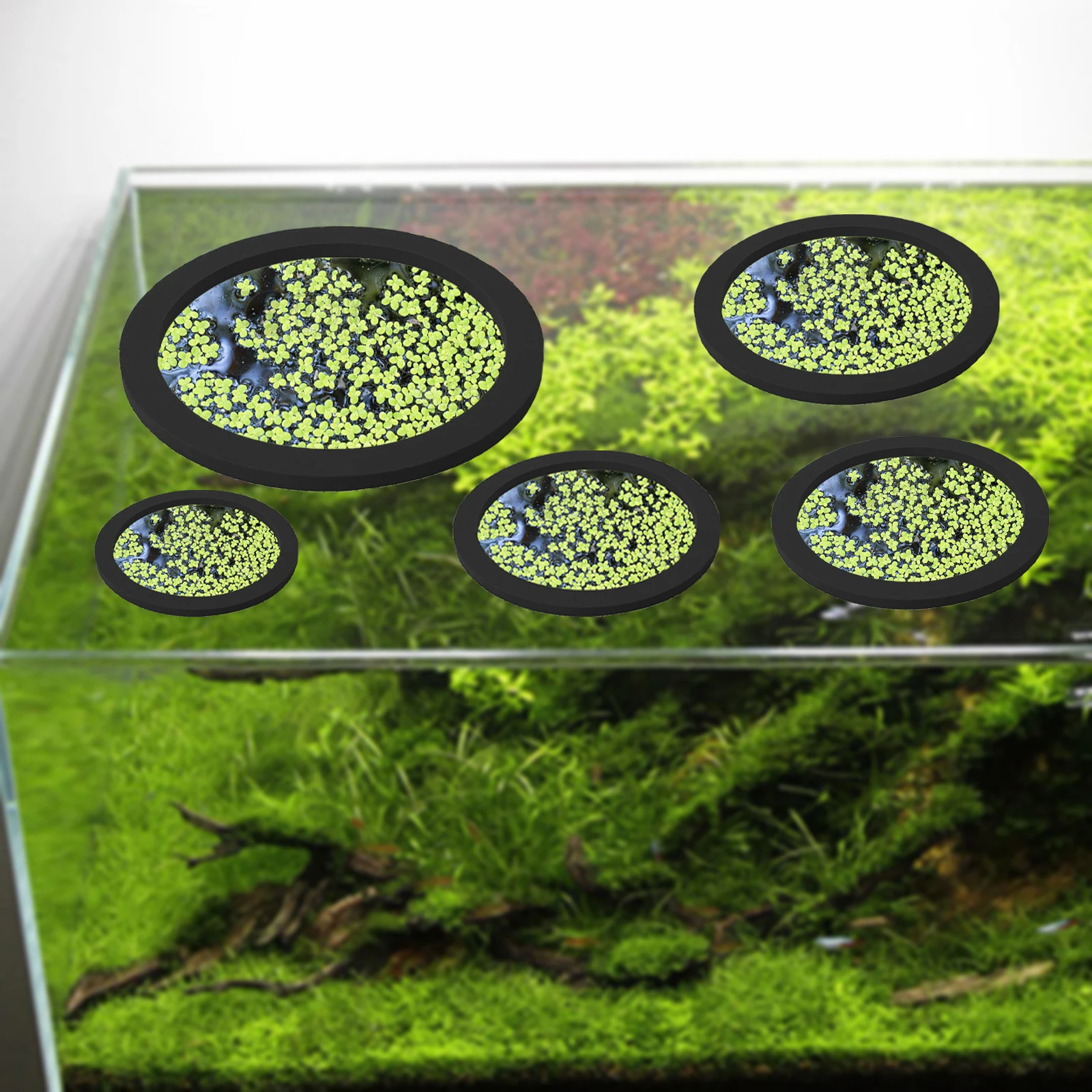 5Pcs EVA Fish Feeding Ring Aqu - огляд і ціна Ocean Aquarium