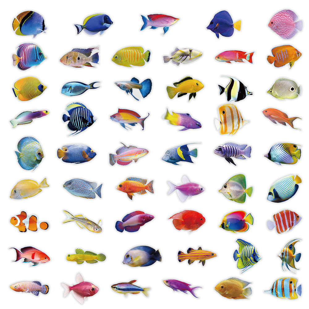 50-100PCS Transparent PET Cora - огляд і ціна Marine Coral