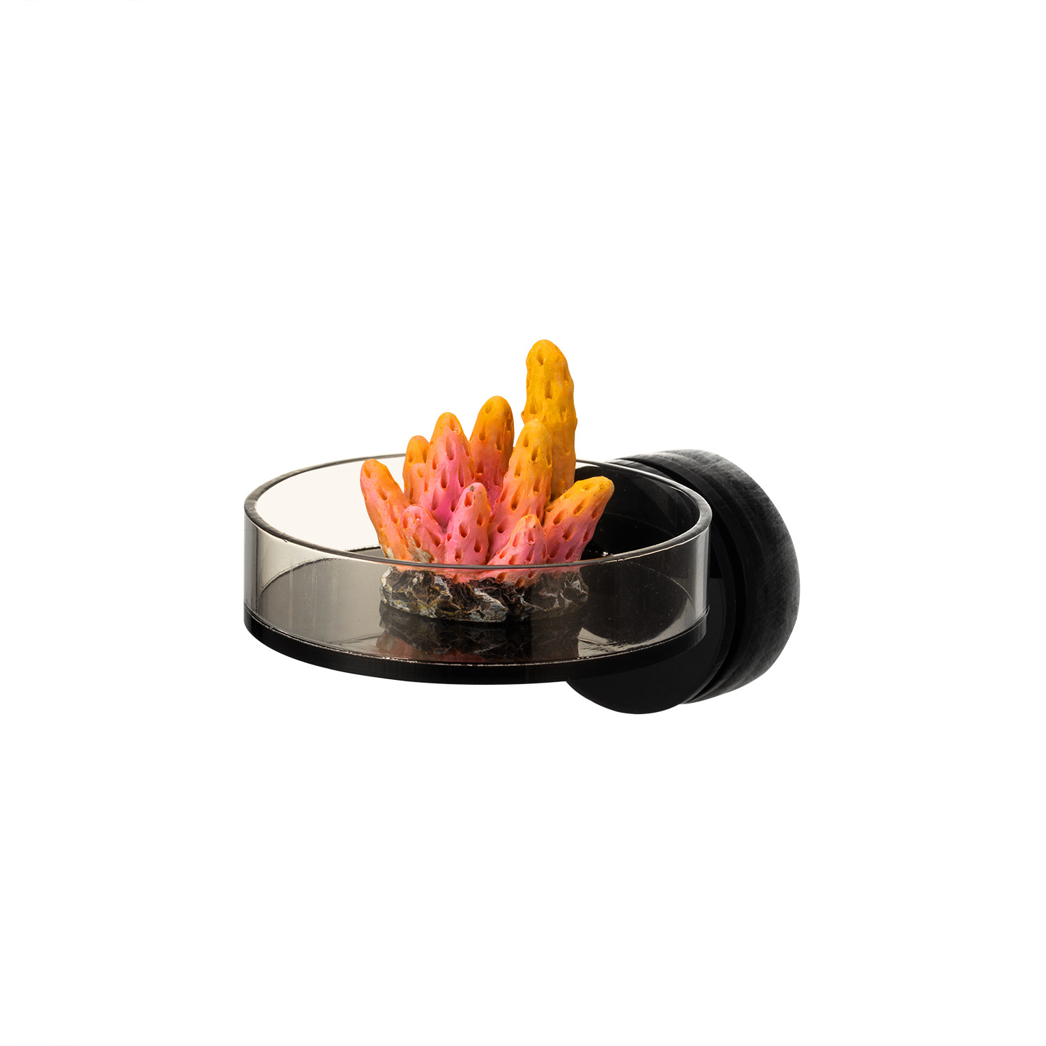 Marine Sources 70mm Black Magn - огляд і ціна Marine Coral